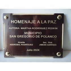 PLACA M 42 GRABADO PROFUNDIDAD 