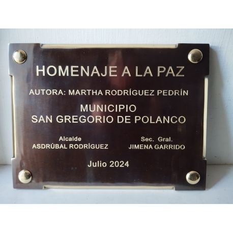 PLACA M 42 GRABADO PROFUNDIDAD 