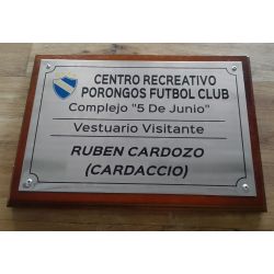 PLACA CHAPA ACERO 